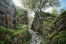 #Lake District Art Prints #Lake District Wildlife Art Prints #Herdwick #Herdwick Ewes #Herdwick Rams #Ewes #Herdwick Tups #Lake District #Cumbria #Lake District Ram Art Prints #Borrowdale Herdwicks #Wildlife #Lake District Foxes #Lake District Cows #Herdy Lambs #Herdy Tups #Holiday Cottage Artwork Prints #Lakeland #Sheep Artwork #Eskdale #Art Prints #Canvas Art Prints #Modern Wall Decor #Digital Art #Office Wall Decor #Living Room Wall Art #Bedroom Wall Decor #Aesthetic Art Prints #Inspirational Wall Art #Affordable Art Prints #Decorative Wall Art #Handmade Art Prints #Classic Wall Art #Statement Wall Art #Hotel Art Prints #Bed And Breakfast Art Prints #Cumbrian Artist #Hospitality Art Prints #Cumbria Artwork Prints