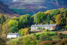 #Lake District Art Prints #Ewes #Lake District #Lake District Holiday Accommodation Art Prints #Lake District Ram Art Prints #Lake District Ewe Art Prints #Lake District Holiday Chalet Art Prints #Borrowdale Herdwicks #Animals #Lake District Pheasants #Lake District Cows #Herdy Lambs #Herdy Tups #Holiday Cottage Art Prints #Lake District Hotel Artworks #Art Prints for Hotels #Lakeland Cottage Canvas Artworks #Wasdale #Art Prints #Prints of Pencil Drawings #Prints of Oil Paintings #Prints of Oil Pastel Artworks #Wall Art #Framed Art Prints #Artist Cumbria #Digital Art #Large Wall Art #Bedroom Wall Decor #Aesthetic Art Prints #Custom Art Prints #Wall Art Decor #Statement Wall Art #Lakeland #Lake District Art Pictures #Hotel Wall Art #Hotel Art Prints #Lake District Business Art Prints #Cumbr