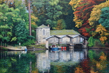 #Lake District Art Prints #Lake District Wildlife Art Prints #Herdwick Tups #Lake District #Cumbria #Lake District Ram Art Prints #Lake District Ewe Art Prints #Lake District Hotel Art Prints #Wasdale Herdwicks #Animals #Lake District Otters #Lake District Art Posters #Lake District Pheasants #Lake District Cows #Borrowdale #Langdale #Holiday Cottage Art Prints #Holiday Cottage Paintings #Herdy Ewes #Lakeland Sheep Art Prints #Sheep Artwork #Prints of Oil Paintings #Wall Art #Minimalist Wall Art #Contemporary Art Prints #Bedroom Wall Decor #Colourful Wall Art #Black And White Prints #Inspirational Wall Art #Typography Art Prints #Classic Wall Art #Wall Art Decor #High Resolution Prints #Wildlife Art #Lake District #Lake District Art Pictures #Lake District Wildlife #Photopaper Art Prints #