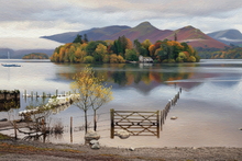 #Lake District Art Prints #Lake District Wildlife Art Prints #Lake district sheep #Rams #Ewes #Herdwick Tups #Lake District Holiday Accommodation Art Prints #Lake District Ewe Art Prints #Langdale Herdwicks #Animals #Lake District Foxes #Lake District Cows #Borrowdale #Cumbrian #Holiday Cottage Paintings #Lake District Holiday Cottage Artworks #Art Prints for Hotels #Herdy Ewes #Herdies #Lakeland #Dogs #Prints of Pencil Drawings #Air B&B Art Prints #Framed Art Prints #Minimalist Wall Art #Large Wall Art #Gallery Wall Prints #Bedroom Wall Decor #Black And White Prints #Landscape Wall Art #Classic Wall Art #Statement Wall Art #Artistic Prints #Wildlife Art #Office Art #Lakeland Office Artwork #Lake District Wildlife #Cumbrian Artist #Cumbria Artwork Prints