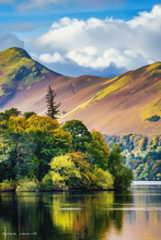 #Lake District Art Prints #Lake District Wildlife Art Prints #Herdies #Herdwick Ewes #Lake district sheep #Ewes #Herdwick Tups #Cumbria #Lake District Hotel Art Prints #Wasdale Herdwicks #Lake District Foxes #Lake District Art Posters #Lake District Cows #Herdy Tups #Holiday Cottage Art Prints #Art Prints for Hotels #Lakeland Cottage Canvas Artworks #Herdy Ewes #Herdies #Wasdale #Art Prints #Home Decor Artwork #Contemporary Art Prints #Large Wall Art #Vintage Art Prints #Luxury Art Prints #Fine Quality Prints #Decorative Wall Art #Handmade Art Prints #Nature Art Prints #Typography Art Prints #Premium Art Prints #Artistic Prints #Wildlife Art #Lakeland #Bed And Breakfast Art Prints #Giclee Prints #Photopaper Art Prints #Cumbria Artwork Prints