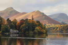 #Lake District Art Prints #Herdies #Tups #Rams #Herdwick Tups #Cumbria #Lake District Ram Art Prints #Lake District Hotel Art Prints #Wildlife #Lake District Foxes #Lake District Pheasants #Cumbrian #Herdy Lambs #Herdy Tups #Holiday Cottage Art Prints #Lake District Holiday Cottage Artworks #Lake District Hotel Artworks #Keswick #Eskdale #Prints of Oil Paintings #Air B&B Art Prints #Home Decor Artwork #Framed Art Prints #Abstract Art Prints #Botanical Art Prints #Affordable Art Prints #Handmade Art Prints #High Resolution Prints #Wildlife Art #Office Art #Lakeland #Lake District #Lakeland Office Artwork #Bed And Breakfast Art Prints #Cumbrian Artist #Box Canvas Art Prints #Photopaper Art Prints #Cumbria Artwork Prints