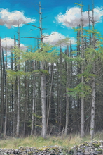 #Lake District Art Prints #Lake district sheep #Tups #Cumbria #Lake District Holiday Accommodation Art Prints #Lake District Ewe Art Prints #Lake District Holiday Chalet Art Prints #Lake District Hotel Art Prints #Wasdale Herdwicks #Borrowdale Herdwicks #Lake District Pheasants #Lake District Cows #Holiday Cottage Paintings #Lake District Holiday Cottage Artworks #Art Prints for Hotels #Herdy Ewes #Lakeland Sheep Art Prints #Keswick #Wasdale #Canvas Art Prints #Modern Wall Decor #Abstract Art Prints #Contemporary Art Prints #Digital Art #Bedroom Wall Decor #Colourful Wall Art #Botanical Art Prints #Vintage Art Prints #Inspirational Wall Art #Affordable Art Prints #Decorative Wall Art #Floral Wall Art #Classic Wall Art #High Resolution Prints #Premium Art Prints #Artistic Prints #Hotel Art 