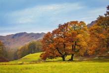 #Lake District Art Prints #Herdwick #Herdwick Ewes #Tups #Rams #Herdwick Tups #Cumbria #Wasdale Herdwicks #Langdale Herdwicks #Borrowdale Herdwicks #Lake District Hares #Lake District Otters #Langdale #Cumbrian #Lake District Holiday Cottage Artworks #Art Prints for Hotels #Herdies #Lakeland #Sheep Artwork #Keswick #Eskdale #Wall Art #Contemporary Art Prints #Gallery Wall Prints #Colourful Wall Art #Vintage Art Prints #Affordable Art Prints #Decorative Wall Art #Typography Art Prints #Wall Art Decor #High Resolution Prints #Premium Art Prints #Office Art #Hotel Art Prints #Bed And Breakfast Art Prints #Cumbrian Artist #Cumbria Artwork Prints