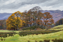 #Lake District Art Prints #Lake District Wildlife Art Prints #Herdies #Herdwick Ewes #Lake district sheep #Ewes #Cumbria #Lake District Holiday Accommodation Art Prints #Langdale Herdwicks #Lake District Otters #Lake District Cows #Herdy Lambs #Herdy Tups #Holiday Cottage Art Prints #Lake District Holiday Cottage Artworks #Art Prints for Hotels #Lakeland Cottage Canvas Artworks #Keswick #Art Prints #Prints of Pencil Drawings #Air B&B Art Prints #Minimalist Wall Art #Contemporary Art Prints #Digital Art #Bedroom Wall Decor #Landscape Wall Art #Unique Art Prints #Statement Wall Art #High Resolution Prints #Premium Art Prints #Artistic Prints #Lakeland #Lake District #Cumbria Artwork Prints