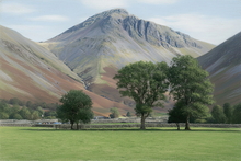 #Lake District Art Prints #Herdwick #Herdies #Tups #Rams #Lake District Holiday Accommodation Art Prints #Borrowdale Herdwicks #Animals #Lake District Foxes #Lake District Pheasants #Borrowdale #Holiday Cottage Artwork Prints #Holiday Cottage Paintings #Art Prints for Hotels #Lakeland Cottage Canvas Artworks #Lakeland Sheep Art Prints #Prints of Acrylic Paintings #Framed Art Prints #Aesthetic Art Prints #Black And White Prints #Vintage Art Prints #Luxury Art Prints #Decorative Wall Art #Unique Art Prints #Classic Wall Art #Wall Art Decor #Statement Wall Art #Artwork #Office Art #Lake District #Lake District Art Pictures #Hotel Wall Art #Hotel Art Prints #Cumbrian Artist #Box Canvas Art Prints #Cumbria Artwork Prints