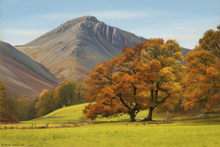 #Lake District Art Prints #Herdwick Ewes #Herdwick Rams #Rams #Cumbria #Lake District Holiday Accommodation Art Prints #Lake District Ram Art Prints #Lake District Ewe Art Prints #Lake District Holiday Chalet Art Prints #Lake District Hotel Art Prints #Langdale Herdwicks #Animals #Wildlife #Holiday Cottage Art Prints #Lake District Holiday Cottage Artworks #Keswick #Wall Art #Modern Wall Decor #Abstract Art Prints #Contemporary Art Prints #Digital Art #Large Wall Art #Bedroom Wall Decor #Black And White Prints #Landscape Wall Art #Nature Art Prints #Floral Wall Art #Typography Art Prints #Classic Wall Art #Wall Art Decor #Premium Art Prints #Artwork #Lakeland #Cumbrian Artist #Cumbria Artwork Prints