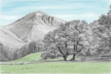 #Lake District Art Prints #Lake District Wildlife Art Prints #Lake district sheep #Lake District #Cumbria #Lake District Ram Art Prints #Borrowdale Herdwicks #Lake District Hares #Lake District Pheasants #Borrowdale #Herdy Tups #Holiday Cottage Art Prints #Herdy Ewes #Lakeland #Keswick #Dogs #Wall Art #Fine Art Prints #Air B&B Art Prints #Home Decor Artwork #Framed Art Prints #Artist Cumbria #Gallery Wall Prints #Colourful Wall Art #Decorative Wall Art #Handmade Art Prints #Wall Art Decor #Premium Art Prints #Lake District #Lakeland Office Artwork #Hotel Wall Art #Large Wall Art Prints #Giclee Prints #Hospitality Art Prints #Cumbria Art Prints #Cumbria Artwork Prints