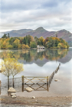 #Lake District Art Prints #Herdwick Ewes #Herdwick Rams #Tups #Ewes #Cumbria #Borrowdale Herdwicks #Animals #Wildlife #Lake District Hares #Lake District Foxes #Lake District Cows #Cumbrian #Holiday Cottage Paintings #Lakeland #Lakeland Sheep Art Prints #Keswick #Wasdale #Eskdale #Prints of Acrylic Paintings #Fine Art Prints #Canvas Art Prints #Framed Art Prints #Artist Cumbria #Large Wall Art #Aesthetic Art Prints #Affordable Art Prints #Typography Art Prints #Classic Wall Art #Wall Art Decor #High Resolution Prints #Artwork #Lake District #Hotel Wall Art #Cumbria Artwork Prints