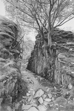 #Lake District Art Prints #Lake District Wildlife Art Prints #Herdwick Ewes #Lake district sheep #Tups #Ewes #Cumbria #Lake District Holiday Accommodation Art Prints #Animals #Lake District Foxes #Lake District Otters #Lake District Cows #Borrowdale #Holiday Cottage Artwork Prints #Lake District Holiday Cottage Artworks #Lakeland #Dogs #Eskdale #Prints of Acrylic Paintings #Wall Art #Minimalist Wall Art #Contemporary Art Prints #Living Room Wall Art #Black And White Prints #Botanical Art Prints #Landscape Wall Art #Unique Art Prints #Nature Art Prints #Floral Wall Art #High Resolution Prints #Artwork #Office Art #Lake District Art Pictures #Hotel Wall Art #Giclee Prints #Lake District Business Art Prints #Cumbria Art Prints #Photopaper Art Prints #Cumbria Artwork Prints