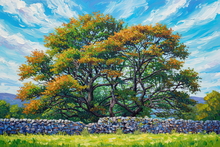 #Lake District Art Prints #Lake District Wildlife Art Prints #Herdwick Ewes #Lake district sheep #Ewes #Lake District #Cumbria #Lake District Ewe Art Prints #Lake District Hotel Art Prints #Borrowdale Herdwicks #Lake District Art Posters #Borrowdale #Holiday Cottage Artwork Prints #Lake District Holiday Cottage Artworks #Art Prints for Hotels #Lakeland Cottage Canvas Artworks #Herdy Ewes #Herdies #Dogs #Prints of Oil Paintings #Prints of Acrylic Paintings #Wall Art #Fine Art Prints #Air B&B Art Prints #Abstract Art Prints #Gallery Wall Prints #Office Wall Decor #Landscape Wall Art #Decorative Wall Art #High Resolution Prints #Artwork #Office Art #Lakeland #Hotel Art Prints #Box Canvas Art Prints #Hospitality Art Prints #Photopaper Art Prints #Cumbria Artwork Prints