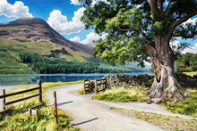 #Lake District Art Prints #Lake District Wildlife Art Prints #Tups #Herdwick Tups #Cumbria #Lake District Ram Art Prints #Lake District Holiday Chalet Art Prints #Lake District Hotel Art Prints #Animals #Wildlife #Lake District Art Posters #Lake District Pheasants #Langdale #Cumbrian #Lakeland Cottage Canvas Artworks #Herdy Ewes #Lakeland #Lakeland Sheep Art Prints #Sheep Artwork #Keswick #Eskdale #Wall Art #Abstract Art Prints #Contemporary Art Prints #Digital Art #Office Wall Decor #Living Room Wall Art #Black And White Prints #Botanical Art Prints #Landscape Wall Art #Affordable Art Prints #Decorative Wall Art #Floral Wall Art #Wildlife Art #Hotel Art Prints #Lake District Wildlife #Large Wall Art Prints #Cumbrian Artist #Giclee Prints #Box Canvas Art Prints #Cumbria Art Prints #Cumbria