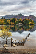 #Lake District Art Prints #Lake District Wildlife Art Prints #Herdwick Ewes #Tups #Rams #Cumbria #Lake District Holiday Accommodation Art Prints #Lake District Holiday Chalet Art Prints #Borrowdale Herdwicks #Borrowdale #Herdy Tups #Holiday Cottage Artwork Prints #Holiday Cottage Art Prints #Lake District Hotel Artworks #Art Prints for Hotels #Herdy Ewes #Herdies #Lakeland Sheep Art Prints #Keswick #Wasdale #Art Prints #Prints of Oil Pastel Artworks #Fine Art Prints #Air B&B Art Prints #Canvas Art Prints #Framed Art Prints #Contemporary Art Prints #Digital Art #Colourful Wall Art #Landscape Wall Art #Vintage Art Prints #Custom Art Prints #Luxury Art Prints #Fine Quality Prints #Nature Art Prints #Lakeland #Lakeland Office Artwork #Hotel Wall Art #Cumbria Artwork Prints
