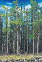 #Lake District Art Prints #Herdies #Herdwick Rams #Tups #Lake District #Lake District Ewe Art Prints #Lake District Holiday Chalet Art Prints #Langdale Herdwicks #Borrowdale Herdwicks #Wildlife #Cumbrian #Holiday Cottage Paintings #Lake District Hotel Artworks #Art Prints for Hotels #Herdies #Lakeland #Dogs #Eskdale #Prints of Oil Paintings #Home Decor Artwork #Artist Cumbria #Digital Art #Gallery Wall Prints #Colourful Wall Art #Black And White Prints #Landscape Wall Art #Handmade Art Prints #Nature Art Prints #Floral Wall Art #Typography Art Prints #Artistic Prints #Lake District #Hotel Wall Art #Large Wall Art Prints #Cumbrian Artist #Cumbria Artwork Prints