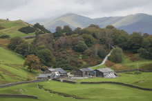 #Lake District Art Prints #Herdies #Rams #Ewes #Lake District #Wasdale Herdwicks #Borrowdale Herdwicks #Lake District Foxes #Lake District Otters #Lake District Pheasants #Borrowdale #Cumbrian #Herdy Lambs #Holiday Cottage Artwork Prints #Art Prints for Hotels #Herdy Ewes #Lakeland Sheep Art Prints #Sheep Artwork #Dogs #Eskdale #Prints of Oil Pastel Artworks #Wall Art #Modern Wall Decor #Framed Art Prints #Abstract Art Prints #Minimalist Wall Art #Artist Cumbria #Living Room Wall Art #Bedroom Wall Decor #Botanical Art Prints #Vintage Art Prints #Handmade Art Prints #Artistic Prints #Lakeland #Large Wall Art Prints #Giclee Prints #Lake District Business Art Prints #Cumbria Art Prints #Photopaper Art Prints #Cumbria Artwork Prints