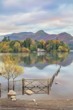 #Lake District Art Prints #Herdies #Tups #Rams #Cumbria #Lake District Ram Art Prints #Lake District Ewe Art Prints #Borrowdale Herdwicks #Animals #Langdale #Herdy Tups #Art Prints for Hotels #Herdy Ewes #Herdies #Sheep Artwork #Wasdale #Dogs #Eskdale #Wall Art #Canvas Art Prints #Framed Art Prints #Minimalist Wall Art #Contemporary Art Prints #Office Wall Decor #Botanical Art Prints #Decorative Wall Art #Nature Art Prints #Typography Art Prints #Artwork #Lakeland #Lakeland Office Artwork #Cumbrian Artist #Lake District Business Art Prints #Box Canvas Art Prints #Cumbria Artwork Prints