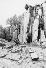 #Lake District Art Prints #Lake District Wildlife Art Prints #Herdwick #Herdwick Ewes #Herdwick Rams #Lake district sheep #Rams #Ewes #Herdwick Tups #Lake District #Lake District Holiday Accommodation Art Prints #Lake District Ewe Art Prints #Lake District Pheasants #Herdy Tups #Holiday Cottage Art Prints #Lake District Holiday Cottage Artworks #Herdy Ewes #Office Wall Decor #Aesthetic Art Prints #Colourful Wall Art #Black And White Prints #Affordable Art Prints #Fine Quality Prints #Decorative Wall Art #Unique Art Prints #Handmade Art Prints #Nature Art Prints #Statement Wall Art #Wildlife Art #Artwork #Hotel Wall Art #Bed And Breakfast Art Prints #Lake District Wildlife #Large Wall Art Prints #Giclee Prints #Hospitality Art Prints #Cumbria Artwork Prints