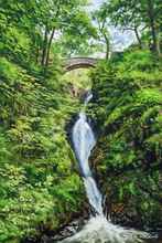 #Lake District Art Prints #Lake District Wildlife Art Prints #Ewes #Lake District Holiday Accommodation Art Prints #Lake District Holiday Chalet Art Prints #Wasdale Herdwicks #Lake District Foxes #Langdale #Cumbrian #Herdy Tups #Holiday Cottage Artwork Prints #Holiday Cottage Paintings #Lake District Holiday Cottage Artworks #Lake District Hotel Artworks #Art Prints for Hotels #Lakeland Cottage Canvas Artworks #Herdies #Keswick #Wasdale #Eskdale #Prints of Pencil Drawings #Prints of Oil Paintings #Prints of Acrylic Paintings #Modern Wall Decor #Home Decor Artwork #Abstract Art Prints #Large Wall Art #Gallery Wall Prints #Aesthetic Art Prints #Colourful Wall Art #Affordable Art Prints #Luxury Art Prints #Classic Wall Art #Artistic Prints #Lakeland #Cumbrian Artist #Lake District Business Ar