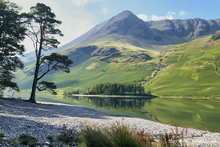 #Lake District Art Prints #Herdwick Rams #Rams #Lake District #Lake District Holiday Accommodation Art Prints #Lake District Ram Art Prints #Wasdale Herdwicks #Langdale Herdwicks #Animals #Lake District Art Posters #Borrowdale #Herdy Lambs #Herdy Tups #Holiday Cottage Paintings #Lake District Holiday Cottage Artworks #Herdies #Lakeland #Sheep Artwork #Wasdale #Prints of Acrylic Paintings #Prints of Oil Pastel Artworks #Air B&B Art Prints #Framed Art Prints #Minimalist Wall Art #Contemporary Art Prints #Aesthetic Art Prints #Colourful Wall Art #Botanical Art Prints #Luxury Art Prints #Classic Wall Art #Premium Art Prints #Lakeland #Lakeland Office Artwork #Hotel Wall Art #Large Wall Art Prints #Cumbrian Artist #Giclee Prints #Hospitality Art Prints #Cumbria Artwork Prints