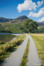 #Lake District Art Prints #Lake District Wildlife Art Prints #Herdwick #Tups #Rams #Ewes #Lake District #Lake District Holiday Accommodation Art Prints #Lake District Ewe Art Prints #Lake District Holiday Chalet Art Prints #Lake District Hotel Art Prints #Wasdale Herdwicks #Langdale Herdwicks #Wildlife #Lake District Hares #Lake District Pheasants #Holiday Cottage Artwork Prints #Art Prints #Prints of Oil Paintings #Prints of Acrylic Paintings #Air B&B Art Prints #Gallery Wall Prints #Custom Art Prints #Luxury Art Prints #Nature Art Prints #Classic Wall Art #Premium Art Prints #Artwork #Hotel Art Prints #Bed And Breakfast Art Prints #Large Wall Art Prints #Cumbrian Artist #Cumbria Artwork Prints