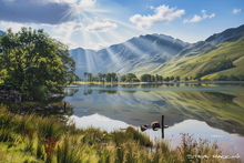 #Lake District Art Prints #Herdies #Tups #Rams #Ewes #Cumbria #Lake District Ewe Art Prints #Lake District Hotel Art Prints #Lake District Hares #Lake District Cows #Langdale #Cumbrian #Holiday Cottage Art Prints #Holiday Cottage Paintings #Lake District Hotel Artworks #Art Prints for Hotels #Herdies #Eskdale #Prints of Pencil Drawings #Prints of Acrylic Paintings #Fine Art Prints #Minimalist Wall Art #Artist Cumbria #Gallery Wall Prints #Bedroom Wall Decor #Aesthetic Art Prints #Colourful Wall Art #Landscape Wall Art #Inspirational Wall Art #Nature Art Prints #Classic Wall Art #High Resolution Prints #Artistic Prints #Wildlife Art #Lake District Art Pictures #Bed And Breakfast Art Prints #Lake District Wildlife #Cumbria Artwork Prints