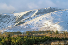 #Lake District Art Prints #Herdwick Rams #Tups #Rams #Herdwick Tups #Lake District #Cumbria #Lake District Ewe Art Prints #Lake District Holiday Chalet Art Prints #Animals #Lake District Cows #Borrowdale #Holiday Cottage Artwork Prints #Holiday Cottage Art Prints #Lake District Holiday Cottage Artworks #Lakeland Cottage Canvas Artworks #Herdies #Dogs #Eskdale #Art Prints #Fine Art Prints #Framed Art Prints #Minimalist Wall Art #Gallery Wall Prints #Office Wall Decor #Living Room Wall Art #Colourful Wall Art #Landscape Wall Art #Vintage Art Prints #Luxury Art Prints #Decorative Wall Art #Unique Art Prints #Handmade Art Prints #Nature Art Prints #Statement Wall Art #Large Wall Art Prints #Cumbria Artwork Prints