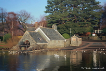 #Lake District Art Prints #Herdwick Ewes #Lake district sheep #Tups #Rams #Ewes #Cumbria #Langdale Herdwicks #Animals #Lake District Hares #Lake District Foxes #Lake District Pheasants #Borrowdale #Herdy Tups #Holiday Cottage Artwork Prints #Holiday Cottage Paintings #Art Prints for Hotels #Lakeland Cottage Canvas Artworks #Herdies #Lakeland #Dogs #Art Prints #Prints of Acrylic Paintings #Prints of Oil Pastel Artworks #Wall Art #Fine Art Prints #Abstract Art Prints #Minimalist Wall Art #Vintage Art Prints #Inspirational Wall Art #Custom Art Prints #Affordable Art Prints #Handmade Art Prints #Typography Art Prints #Classic Wall Art #Wall Art Decor #Artistic Prints #Lakeland #Lake District Art Pictures #Cumbria Art Prints #Cumbria Artwork Prints