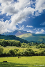 #Lake District Art Prints #Herdies #Lake District Holiday Accommodation Art Prints #Wasdale Herdwicks #Borrowdale Herdwicks #Wildlife #Lake District Hares #Lake District Foxes #Lake District Pheasants #Langdale #Herdy Lambs #Holiday Cottage Paintings #Lake District Hotel Artworks #Art Prints for Hotels #Herdy Ewes #Sheep Artwork #Eskdale #Art Prints #Prints of Oil Pastel Artworks #Framed Art Prints #Contemporary Art Prints #Digital Art #Gallery Wall Prints #Office Wall Decor #Affordable Art Prints #Unique Art Prints #Nature Art Prints #Statement Wall Art #Premium Art Prints #Artistic Prints #Wildlife Art #Artwork #Lake District Art Pictures #Hotel Art Prints #Giclee Prints #Lake District Business Art Prints #Box Canvas Art Prints #Cumbria Artwork Prints