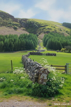 #Lake District Art Prints #Herdwick #Herdies #Lake district sheep #Tups #Ewes #Lake District #Cumbria #Wildlife #Lake District Foxes #Lake District Pheasants #Holiday Cottage Art Prints #Holiday Cottage Paintings #Lake District Holiday Cottage Artworks #Lake District Hotel Artworks #Lakeland #Prints of Acrylic Paintings #Air B&B Art Prints #Modern Wall Decor #Gallery Wall Prints #Office Wall Decor #Living Room Wall Art #Aesthetic Art Prints #Botanical Art Prints #Vintage Art Prints #Affordable Art Prints #Floral Wall Art #Wall Art Decor #Premium Art Prints #Wildlife Art #Lakeland #Lakeland Office Artwork #Lake District Wildlife #Cumbrian Artist #Hospitality Art Prints #Cumbria Artwork Prints