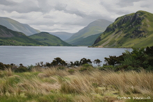 #Lake District Art Prints #Herdwick Rams #Tups #Lake District Ewe Art Prints #Lake District Hotel Art Prints #Wasdale Herdwicks #Borrowdale Herdwicks #Wildlife #Lake District Foxes #Lake District Otters #Lake District Art Posters #Lake District Pheasants #Herdy Lambs #Holiday Cottage Artwork Prints #Herdy Ewes #Herdies #Lakeland #Keswick #Prints of Acrylic Paintings #Prints of Oil Pastel Artworks #Wall Art #Fine Art Prints #Air B&B Art Prints #Home Decor Artwork #Artist Cumbria #Digital Art #Large Wall Art #Office Wall Decor #Living Room Wall Art #Inspirational Wall Art #Nature Art Prints #Artistic Prints #Wildlife Art #Hotel Wall Art #Lake District Wildlife #Large Wall Art Prints #Hospitality Art Prints #Cumbria Artwork Prints