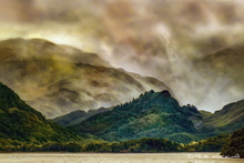 #Lake District Art Prints #Lake District Wildlife Art Prints #Herdwick #Herdies #Herdwick Ewes #Rams #Ewes #Herdwick Tups #Cumbria #Lake District Holiday Accommodation Art Prints #Lake District Art Posters #Lake District Cows #Herdy Lambs #Holiday Cottage Artwork Prints #Holiday Cottage Art Prints #Lake District Holiday Cottage Artworks #Herdy Ewes #Lakeland #Prints of Oil Paintings #Prints of Oil Pastel Artworks #Wall Art #Fine Art Prints #Framed Art Prints #Gallery Wall Prints #Office Wall Decor #Aesthetic Art Prints #Botanical Art Prints #Landscape Wall Art #Affordable Art Prints #Luxury Art Prints #Typography Art Prints #Statement Wall Art #Artistic Prints #Artwork #Office Art #Lakeland #Lake District Art Pictures #Hospitality Art Prints #Cumbria Artwork Prints