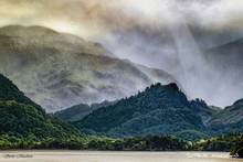 #Lake District Art Prints #Herdwick #Rams #Lake District Holiday Accommodation Art Prints #Lake District Hotel Art Prints #Borrowdale Herdwicks #Lake District Foxes #Lake District Pheasants #Lake District Cows #Cumbrian #Herdy Lambs #Holiday Cottage Artwork Prints #Holiday Cottage Art Prints #Lakeland Cottage Canvas Artworks #Herdies #Lakeland #Lakeland Sheep Art Prints #Sheep Artwork #Wasdale #Dogs #Eskdale #Prints of Pencil Drawings #Prints of Oil Paintings #Wall Art #Minimalist Wall Art #Artist Cumbria #Large Wall Art #Gallery Wall Prints #Office Wall Decor #Colourful Wall Art #Black And White Prints #High Resolution Prints #Artwork #Lakeland #Lake District Art Pictures #Hotel Art Prints #Cumbrian Artist #Box Canvas Art Prints #Cumbria Artwork Prints