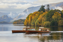 #Lake District Art Prints #Lake District Wildlife Art Prints #Herdies #Herdwick Ewes #Lake District Ram Art Prints #Wildlife #Lake District Pheasants #Lake District Cows #Herdy Lambs #Herdy Tups #Holiday Cottage Artwork Prints #Holiday Cottage Paintings #Herdies #Lakeland Sheep Art Prints #Sheep Artwork #Eskdale #Prints of Oil Paintings #Modern Wall Decor #Contemporary Art Prints #Artist Cumbria #Digital Art #Gallery Wall Prints #Living Room Wall Art #Vintage Art Prints #Luxury Art Prints #Handmade Art Prints #Nature Art Prints #Classic Wall Art #High Resolution Prints #Premium Art Prints #Artwork #Cumbrian Artist #Lake District Business Art Prints #Hospitality Art Prints #Cumbria Artwork Prints