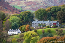 #Lake District Art Prints #Lake District Wildlife Art Prints #Lake district sheep #Tups #Rams #Lake District #Lake District Ram Art Prints #Wasdale Herdwicks #Langdale Herdwicks #Wildlife #Lake District Foxes #Lake District Otters #Herdy Tups #Holiday Cottage Art Prints #Lake District Holiday Cottage Artworks #Art Prints for Hotels #Lakeland Cottage Canvas Artworks #Keswick #Prints of Pencil Drawings #Fine Art Prints #Home Decor Artwork #Artist Cumbria #Large Wall Art #Colourful Wall Art #Botanical Art Prints #Landscape Wall Art #Inspirational Wall Art #Floral Wall Art #Classic Wall Art #Wall Art Decor #Statement Wall Art #High Resolution Prints #Lakeland Office Artwork #Lake District Art Pictures #Hotel Wall Art #Large Wall Art Prints #Lake District Business Art Prints #Photopaper Art Pri