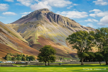 #Lake District Art Prints #Herdwick #Herdies #Lake district sheep #Tups #Lake District Ewe Art Prints #Langdale Herdwicks #Lake District Foxes #Herdy Lambs #Holiday Cottage Artwork Prints #Lake District Holiday Cottage Artworks #Lake District Hotel Artworks #Art Prints for Hotels #Lakeland Cottage Canvas Artworks #Herdies #Lakeland Sheep Art Prints #Wasdale #Art Prints #Fine Art Prints #Canvas Art Prints #Home Decor Artwork #Office Wall Decor #Colourful Wall Art #Inspirational Wall Art #Affordable Art Prints #Luxury Art Prints #Decorative Wall Art #Unique Art Prints #Handmade Art Prints #Nature Art Prints #Premium Art Prints #Artistic Prints #Office Art #Lakeland Office Artwork #Large Wall Art Prints #Cumbrian Artist #Photopaper Art Prints #Cumbria Artwork Prints