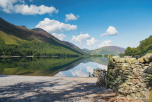 #Lake District Art Prints #Lake District Wildlife Art Prints #Rams #Cumbria #Lake District Holiday Accommodation Art Prints #Lake District Ewe Art Prints #Lake District Hotel Art Prints #Langdale Herdwicks #Animals #Lake District Foxes #Lake District Otters #Lake District Art Posters #Lake District Pheasants #Borrowdale #Herdy Lambs #Lake District Holiday Cottage Artworks #Art Prints for Hotels #Dogs #Prints of Acrylic Paintings #Air B&B Art Prints #Artist Cumbria #Gallery Wall Prints #Colourful Wall Art #Black And White Prints #Botanical Art Prints #Vintage Art Prints #Inspirational Wall Art #Unique Art Prints #Handmade Art Prints #Premium Art Prints #Lake District #Large Wall Art Prints #Giclee Prints #Cumbria Art Prints #Cumbria Artwork Prints