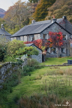 #Lake District Art Prints #Lake District Wildlife Art Prints #Herdwick #Lake District Ram Art Prints #Lake District Ewe Art Prints #Lake District Hotel Art Prints #Wasdale Herdwicks #Borrowdale Herdwicks #Wildlife #Lake District Hares #Lake District Foxes #Lake District Otters #Lake District Art Posters #Borrowdale #Langdale #Cumbrian #Lake District Holiday Cottage Artworks #Lake District Hotel Artworks #Lakeland Cottage Canvas Artworks #Herdies #Lakeland Sheep Art Prints #Prints of Oil Paintings #Wall Art #Framed Art Prints #Minimalist Wall Art #Digital Art #Bedroom Wall Decor #Colourful Wall Art #Black And White Prints #Botanical Art Prints #Inspirational Wall Art #Decorative Wall Art #Typography Art Prints #Statement Wall Art #Lakeland #Lake District #Lake District Art Pictures #Lake Di