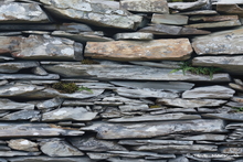 #Lake District Art Prints #Herdies #Lake District #Cumbria #Lake District Holiday Accommodation Art Prints #Lake District Ram Art Prints #Lake District Holiday Chalet Art Prints #Langdale Herdwicks #Animals #Lake District Foxes #Lake District Otters #Lake District Cows #Herdy Lambs #Herdy Tups #Holiday Cottage Paintings #Lake District Holiday Cottage Artworks #Lake District Hotel Artworks #Art Prints for Hotels #Sheep Artwork #Keswick #Fine Art Prints #Modern Wall Decor #Abstract Art Prints #Artist Cumbria #Gallery Wall Prints #Aesthetic Art Prints #Inspirational Wall Art #Decorative Wall Art #Unique Art Prints #Handmade Art Prints #Floral Wall Art #Typography Art Prints #Statement Wall Art #Artistic Prints #Office Art #Lakeland Office Artwork #Bed And Breakfast Art Prints #Large Wall Art 