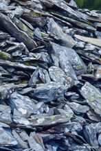 #Lake District Art Prints #Herdwick #Lake district sheep #Rams #Herdwick Tups #Lake District #Wasdale Herdwicks #Animals #Wildlife #Lake District Foxes #Lake District Otters #Lake District Art Posters #Borrowdale #Herdy Lambs #Holiday Cottage Artwork Prints #Holiday Cottage Art Prints #Lake District Hotel Artworks #Herdy Ewes #Lakeland #Lakeland Sheep Art Prints #Sheep Artwork #Prints of Pencil Drawings #Prints of Oil Paintings #Prints of Acrylic Paintings #Minimalist Wall Art #Contemporary Art Prints #Artist Cumbria #Large Wall Art #Office Wall Decor #Vintage Art Prints #Affordable Art Prints #Typography Art Prints #Wall Art Decor #Office Art #Lake District #Lake District Wildlife #Large Wall Art Prints #Hospitality Art Prints #Cumbria Artwork Prints