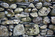 #Lake District Art Prints #Herdwick #Herdwick Ewes #Lake District #Lake District Holiday Chalet Art Prints #Wasdale Herdwicks #Animals #Lake District Otters #Lake District Cows #Langdale #Herdy Lambs #Holiday Cottage Artwork Prints #Lakeland Cottage Canvas Artworks #Sheep Artwork #Keswick #Dogs #Eskdale #Prints of Acrylic Paintings #Canvas Art Prints #Home Decor Artwork #Artist Cumbria #Digital Art #Office Wall Decor #Living Room Wall Art #Black And White Prints #Inspirational Wall Art #Fine Quality Prints #Unique Art Prints #Handmade Art Prints #Nature Art Prints #Floral Wall Art #High Resolution Prints #Lake District #Hotel Wall Art #Large Wall Art Prints #Cumbria Artwork Prints