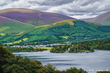 #Lake District Art Prints #Herdies #Herdwick Rams #Tups #Lake District Holiday Chalet Art Prints #Langdale Herdwicks #Wildlife #Lake District Otters #Lake District Pheasants #Borrowdale #Herdy Lambs #Holiday Cottage Paintings #Lakeland #Lakeland Sheep Art Prints #Sheep Artwork #Dogs #Eskdale #Prints of Oil Paintings #Air B&B Art Prints #Gallery Wall Prints #Living Room Wall Art #Bedroom Wall Decor #Black And White Prints #Botanical Art Prints #Inspirational Wall Art #Luxury Art Prints #Unique Art Prints #Artistic Prints #Lakeland Office Artwork #Hotel Wall Art #Lake District Wildlife #Cumbrian Artist #Giclee Prints #Lake District Business Art Prints #Hospitality Art Prints #Cumbria Artwork Prints