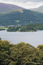 #Lake District Art Prints #Lake District Wildlife Art Prints #Herdies #Herdwick Rams #Ewes #Herdwick Tups #Lake District Ewe Art Prints #Wasdale Herdwicks #Langdale Herdwicks #Lake District Hares #Lake District Otters #Cumbrian #Lake District Hotel Artworks #Art Prints for Hotels #Herdy Ewes #Lakeland #Sheep Artwork #Keswick #Wall Art #Canvas Art Prints #Large Wall Art #Custom Art Prints #Luxury Art Prints #Fine Quality Prints #Decorative Wall Art #Handmade Art Prints #Nature Art Prints #Wall Art Decor #Premium Art Prints #Artwork #Lakeland #Lake District #Bed And Breakfast Art Prints #Cumbrian Artist #Hospitality Art Prints #Photopaper Art Prints #Cumbria Artwork Prints