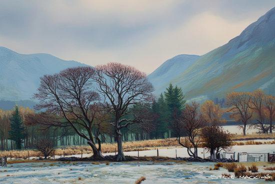 Lake District Winter Trees