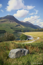 #Lake District Art Prints #Herdies #Herdwick Ewes #Herdwick Rams #Cumbria #Lake District Holiday Accommodation Art Prints #Lake District Ram Art Prints #Langdale Herdwicks #Borrowdale Herdwicks #Wildlife #Lake District Hares #Lake District Foxes #Lake District Cows #Cumbrian #Herdy Lambs #Holiday Cottage Paintings #Lake District Hotel Artworks #Art Prints for Hotels #Herdy Ewes #Dogs #Art Prints #Prints of Oil Paintings #Prints of Oil Pastel Artworks #Minimalist Wall Art #Contemporary Art Prints #Office Wall Decor #Black And White Prints #Affordable Art Prints #Unique Art Prints #Wall Art Decor #Premium Art Prints #Lake District #Lakeland Office Artwork #Lake District Wildlife #Giclee Prints #Cumbria Artwork Prints