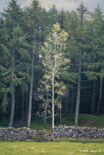 #Lake District Art Prints #Lake District Wildlife Art Prints #Herdwick #Herdies #Herdwick Rams #Lake District #Lake District Holiday Accommodation Art Prints #Lake District Hotel Art Prints #Borrowdale Herdwicks #Wildlife #Lake District Hares #Lake District Foxes #Lake District Pheasants #Lake District Cows #Borrowdale #Holiday Cottage Artwork Prints #Holiday Cottage Art Prints #Holiday Cottage Paintings #Herdy Ewes #Lakeland #Keswick #Fine Art Prints #Modern Wall Decor #Framed Art Prints #Abstract Art Prints #Bedroom Wall Decor #Landscape Wall Art #Vintage Art Prints #Inspirational Wall Art #Floral Wall Art #High Resolution Prints #Lake District #Lake District Art Pictures #Large Wall Art Prints #Cumbrian Artist #Box Canvas Art Prints #Cumbria Art Prints #Cumbria Artwork Prints