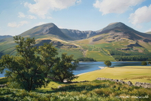 #Lake District Art Prints #Lake District Wildlife Art Prints #Herdwick Rams #Tups #Rams #Lake District Holiday Accommodation Art Prints #Lake District Ram Art Prints #Lake District Hotel Art Prints #Borrowdale Herdwicks #Wildlife #Lake District Hares #Herdy Tups #Art Prints for Hotels #Lakeland Cottage Canvas Artworks #Herdy Ewes #Herdies #Lakeland #Sheep Artwork #Art Prints #Modern Wall Decor #Abstract Art Prints #Large Wall Art #Black And White Prints #Vintage Art Prints #Inspirational Wall Art #Luxury Art Prints #Handmade Art Prints #Statement Wall Art #Artwork #Office Art #Hotel Wall Art #Hotel Art Prints #Bed And Breakfast Art Prints #Giclee Prints #Cumbria Artwork Prints