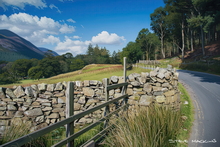 #Lake District Art Prints #Herdies #Herdwick Rams #Rams #Lake District Ewe Art Prints #Wasdale Herdwicks #Lake District Cows #Herdy Lambs #Holiday Cottage Artwork Prints #Holiday Cottage Art Prints #Lake District Holiday Cottage Artworks #Lakeland Cottage Canvas Artworks #Herdy Ewes #Lakeland #Sheep Artwork #Keswick #Wasdale #Prints of Acrylic Paintings #Prints of Oil Pastel Artworks #Air B&B Art Prints #Canvas Art Prints #Home Decor Artwork #Abstract Art Prints #Contemporary Art Prints #Artist Cumbria #Digital Art #Living Room Wall Art #Aesthetic Art Prints #Black And White Prints #Botanical Art Prints #Luxury Art Prints #Wildlife Art #Lakeland Office Artwork #Large Wall Art Prints #Cumbrian Artist #Hospitality Art Prints #Photopaper Art Prints #Cumbria Artwork Prints