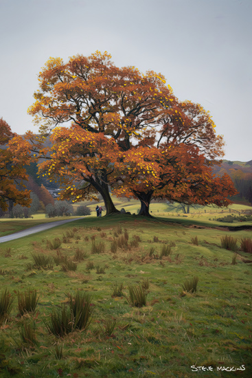 Elterwater Autumn Trees
