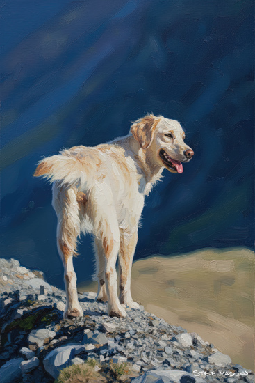 Honister Slate Mine Dog