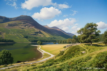 #Lake District Art Prints #Tups #Lake District Holiday Accommodation Art Prints #Lake District Hotel Art Prints #Wasdale Herdwicks #Borrowdale Herdwicks #Lake District Hares #Lake District Art Posters #Cumbrian #Herdy Lambs #Holiday Cottage Artwork Prints #Holiday Cottage Art Prints #Lake District Holiday Cottage Artworks #Lakeland Cottage Canvas Artworks #Herdy Ewes #Lakeland #Lakeland Sheep Art Prints #Eskdale #Art Prints #Fine Art Prints #Abstract Art Prints #Minimalist Wall Art #Living Room Wall Art #Colourful Wall Art #Botanical Art Prints #Custom Art Prints #Luxury Art Prints #Decorative Wall Art #Unique Art Prints #Handmade Art Prints #Nature Art Prints #Wall Art Decor #Artwork #Hotel Art Prints #Lake District Wildlife #Large Wall Art Prints #Hospitality Art Prints #Cumbria Art Prin